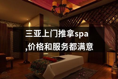 三亚上门推拿spa,价格和服务都满意