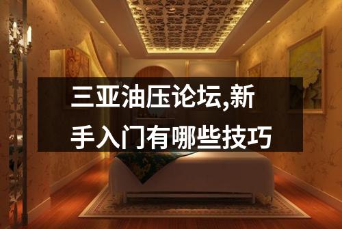三亚油压论坛,新手入门有哪些技巧